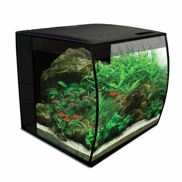 Fish Aquariums – HappyPets