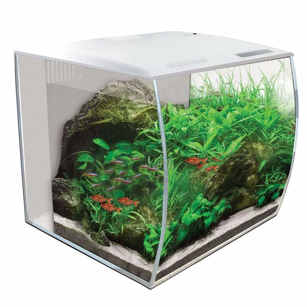 Fluval tropical hot sale fish tank