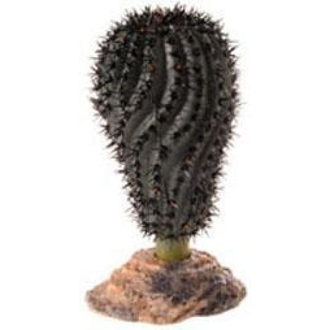 Hobby Cactus Gobi - Decor & Lighting