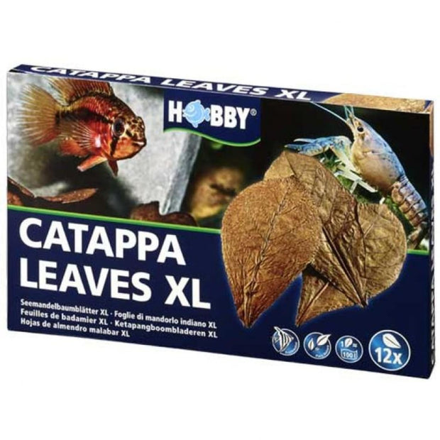 Hobby Catappa Leaves XL (12 pcs) - Aquatic Accessories