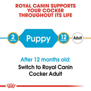 Royal Canin BHN Cocker Spaniel Puppy 3kg - Dog Food