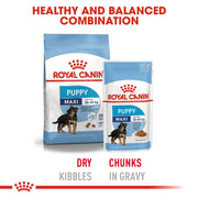 Royal Canin SHN Wet Food Maxi Puppy pouches (10x140g) - Dog 