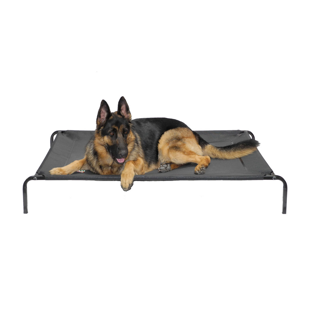 Elevated pet bed best sale