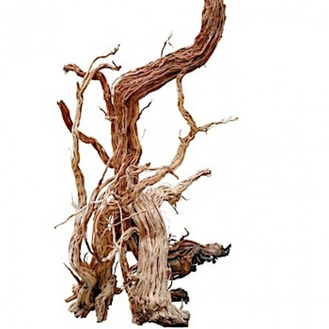 Azalea Wood - S-shape