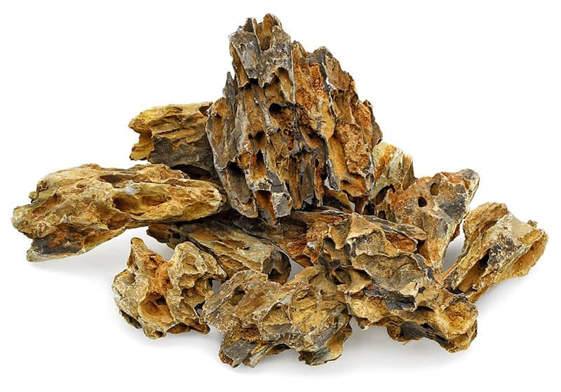Alveolate Aquarium Rock – HappyPets