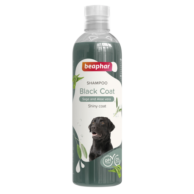 Beaphar Black Coat Dog Shampoo - Sage & Aloe Vera