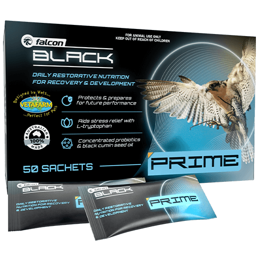 Falcon Black Prime Satchets