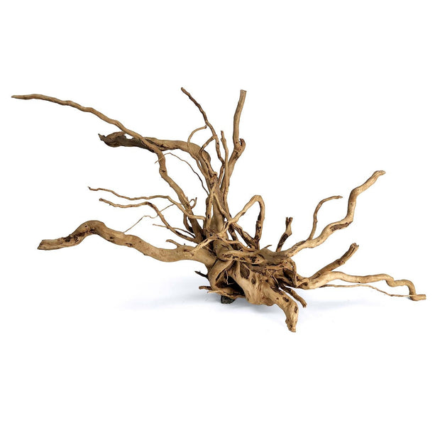 Spider Wood Root