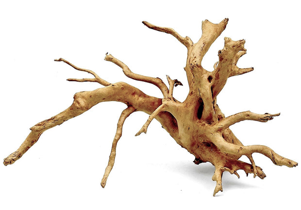 Spider Wood Root
