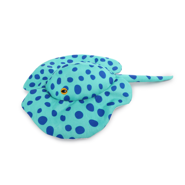 Chill Out - Stingray