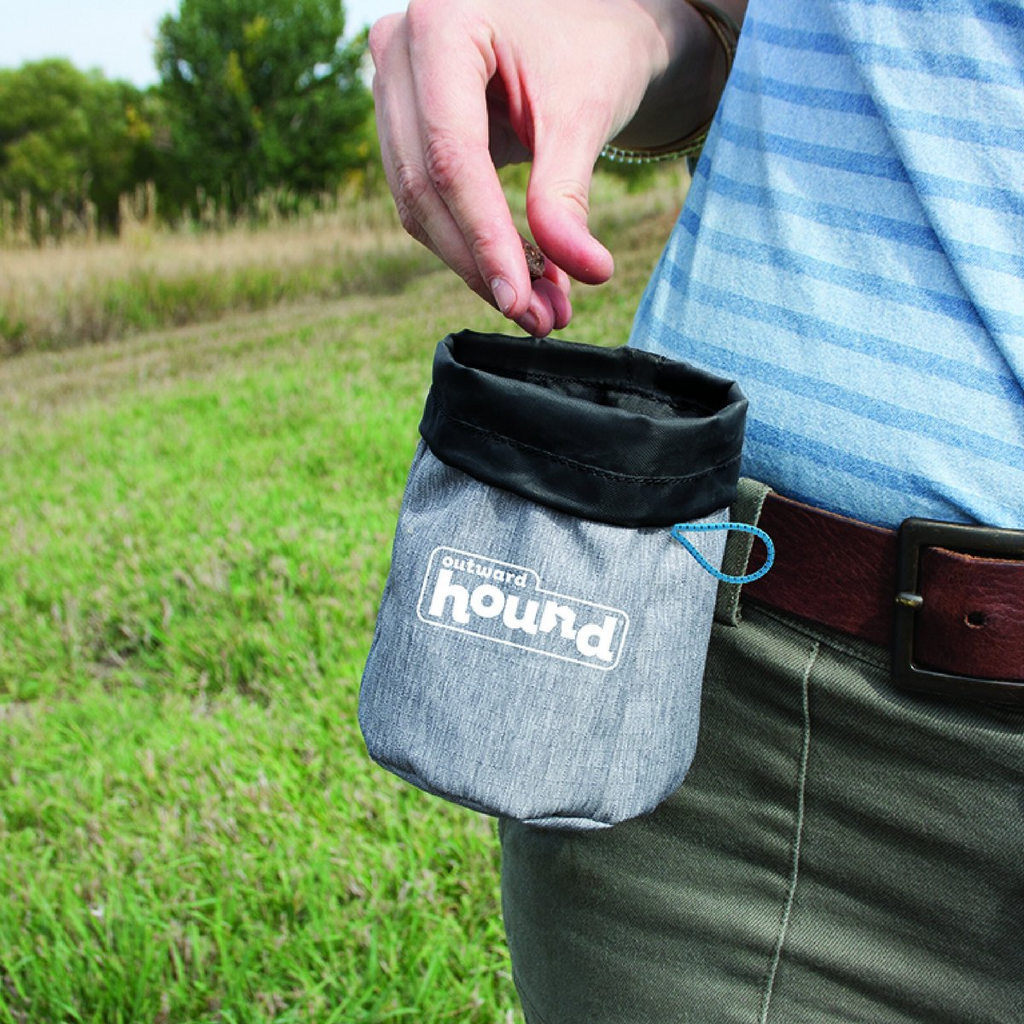 Outward hound treat pouch best sale