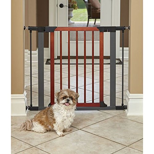 Happypets MidWest Decorative Wood Graphite Steel Pet – HappyPets
