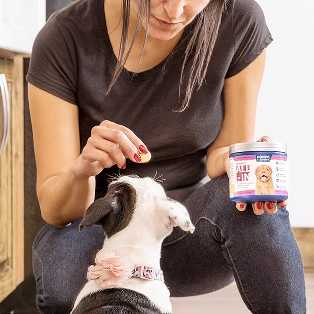 Vetericyn ALL-IN Dog Supplement – Puppy