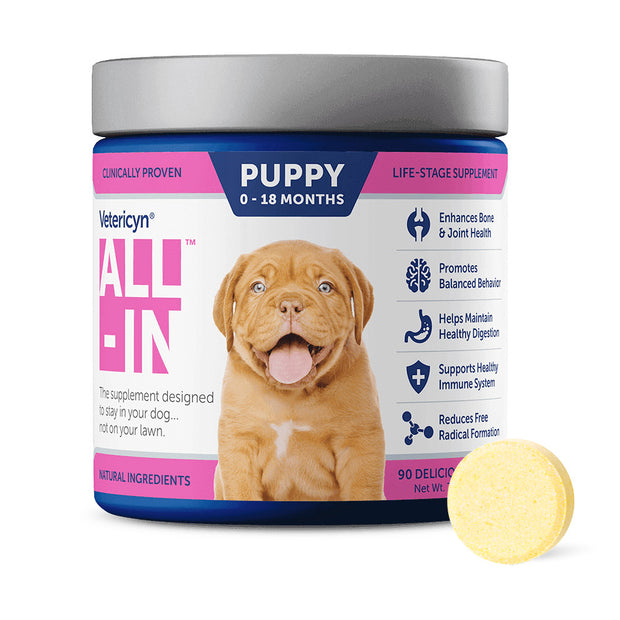 Vetericyn ALL-IN Dog Supplement – Puppy