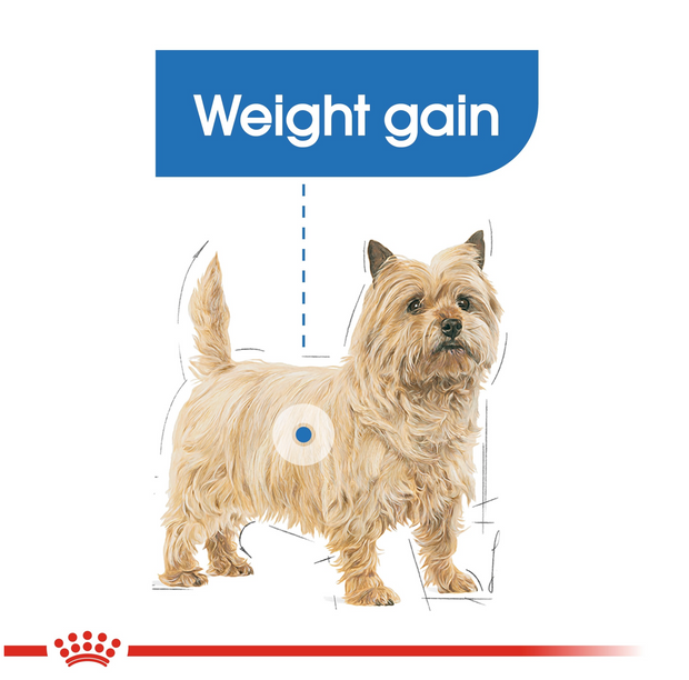 Royal Canin Light Weight Care Wet Food 12x85g (pouches)