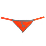 Alcott Visibility Dog Bandana - Orange / Small - Collars & 