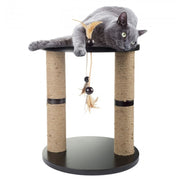 All For Paws Punching Ball Scratching Perch - Scratchers & 