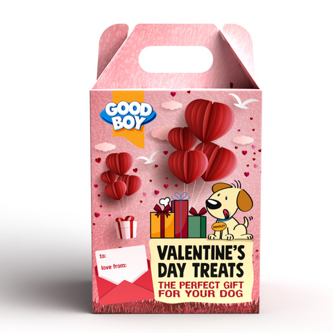 Be My Valentine - Doggy Treat Box