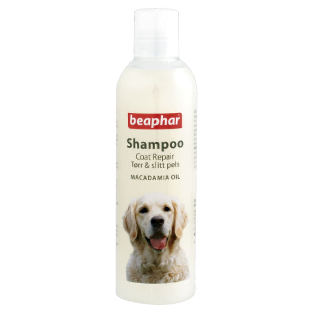 Beaphar Macadamia Oil Shampoo for Dogs - Healthcare & 