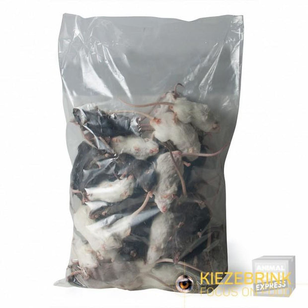 Bulk Pack Frozen Colored Mice (1kg) - Food & Health