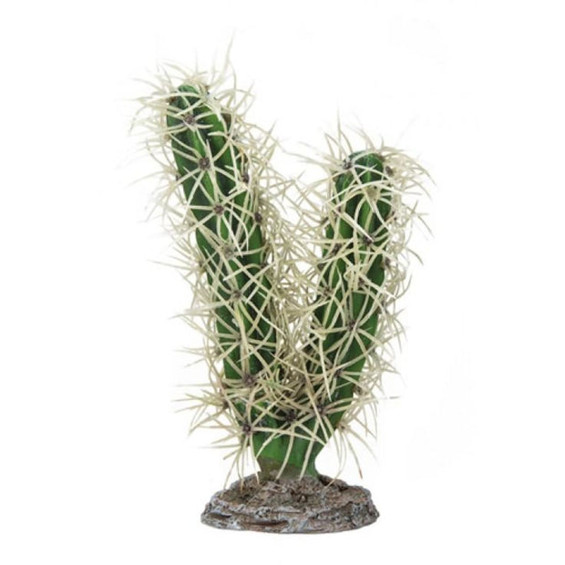 Cactus Simpson - Decor & Lighting