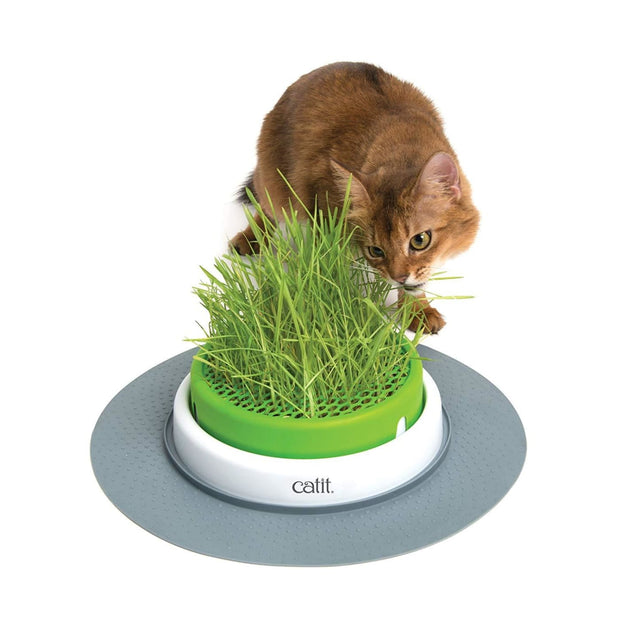 Catit Senses 2.0 Grass Planter - Cat Food