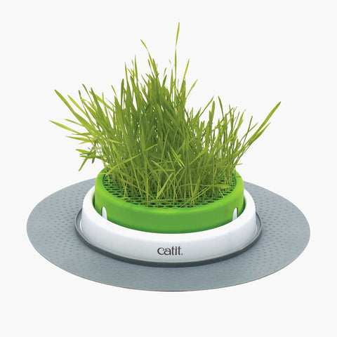 Catit Senses 2.0 Grass Planter - Cat Food