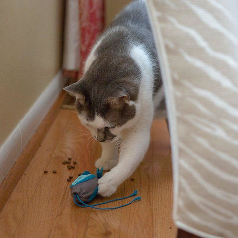 Doc & Phoebe’s Mini Kit - Cat Feeders & Bowls