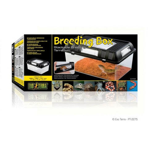 Exo Terra Breeding Box - Medium - Reptile Homes