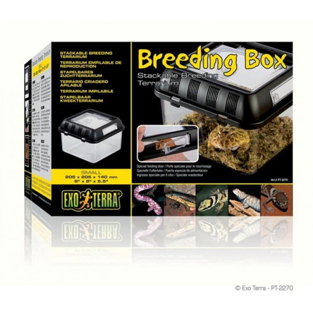 Exo Terra Breeding Box - Small - Reptile Homes