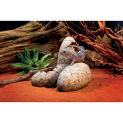 Exo Terra Dinosaur Eggs Fossil Hideout - Decor & Lighting