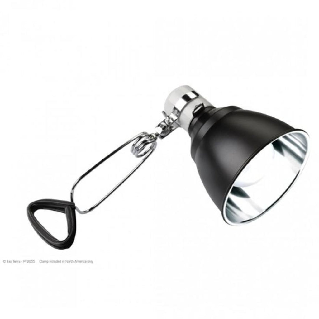 Exo terra lamp store