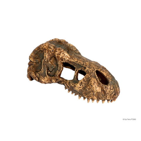 Exo Terra T-Rex Skull - Decor & Lighting