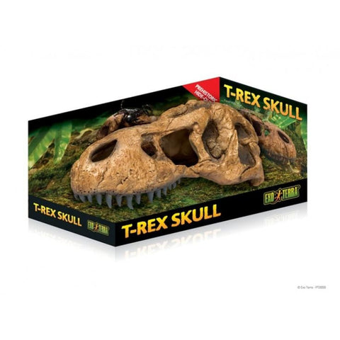 Exo Terra T-Rex Skull - Decor & Lighting
