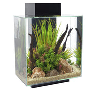 Fluval Edge Aquarium Set 2.0 (46L) - Aquarium Tanks & 