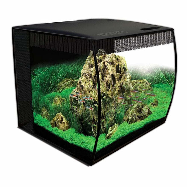 Fish Aquariums - Aquarium Kits – HappyPets