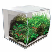 Fluval Flex Aquarium - White - 34 Litres - Aquarium Tanks & 