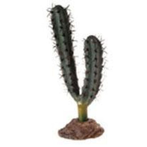 Hobby Cactus Kalahari - Decor & Lighting