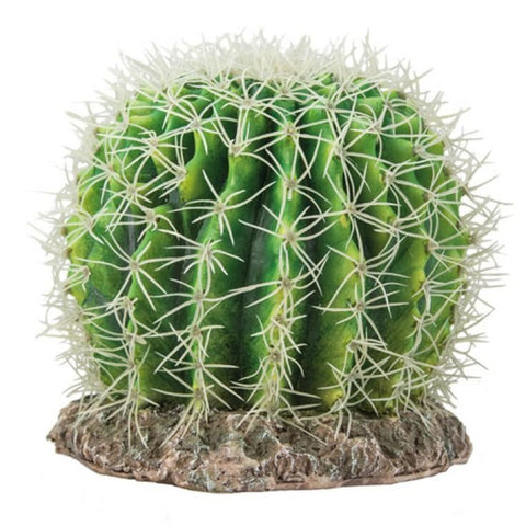 Hobby Cactus Sierra Nevada - Decor & Lighting