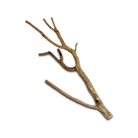 Hobby Cork Branches - Decor & Lighting