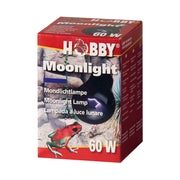 Hobby Moonlight - Decor & Lighting