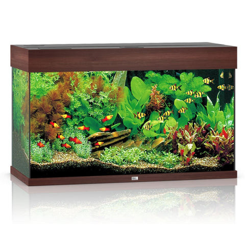Juwel RIO LED 125 Aquarium - Dark Wood - Aquariums