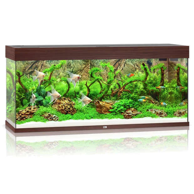 Juwel RIO LED 240 Aquarium - Dark Wood - Aquariums