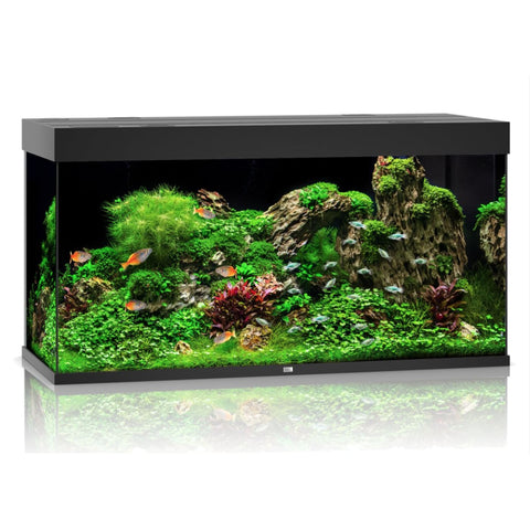 Juwel RIO LED 350 Aquarium - Black - Aquariums