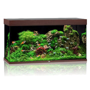 Juwel RIO LED 350 Aquarium - Dark Wood - Aquariums