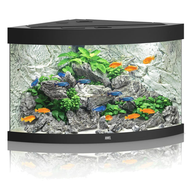Juwel TRIGON 190 Aquarium - Black - Aquariums