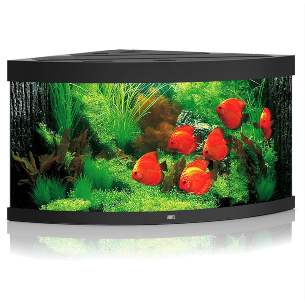 Juwel TRIGON 350 Aquarium - Black - Aquariums