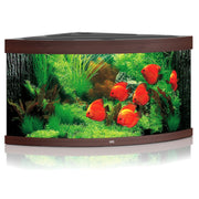 Juwel TRIGON 350 Aquarium - Dark Wood - Aquariums