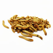 Live Feeder Mealworms - Food & Health