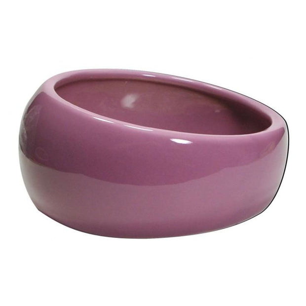 Living World Ergonomic Dish - Purple - Bowls & Bottles